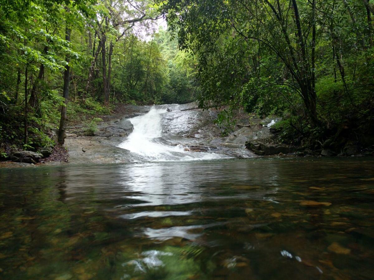 Nature'S Nest Eco Resort Goa, Near Dudhsagar Waterfalls Molem Exterior photo